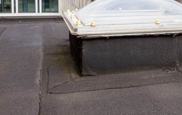 disadvantages of Winterborne Houghton flat roofs