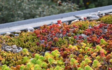 the cost of Winterborne Houghton green roof installation