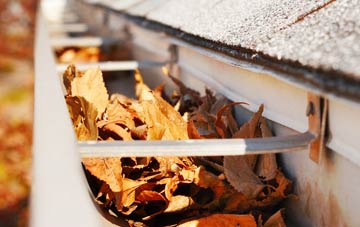 Winterborne Houghton gutter cleaning companies