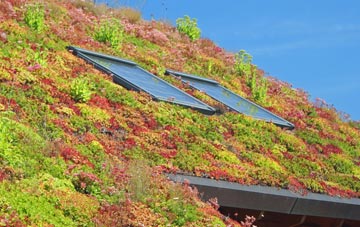 Winterborne Houghton living roof systems