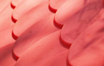 Winterborne Houghton plastic roof costs