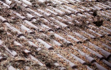 Winterborne Houghton roof cleaning companies