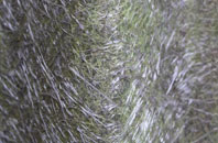 Winterborne Houghton fibreglass roof work